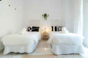 Alohamundi Almansa II