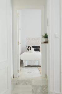 Alohamundi Almansa II