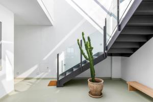 Modern Design House with Roof Terrace