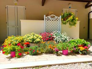 Il Gelso di Sofia B&B