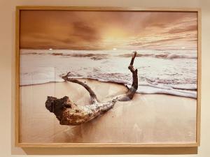 La saveur Tropicale-Proche centre ville-Aéroport