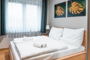 Apartament na Wzgórzu 3, Sauny, ebike, las, widok - 5D Apartamenty