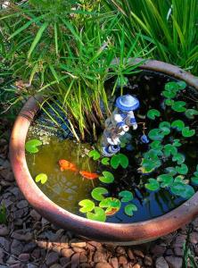 Oasis at Aldinga Beach