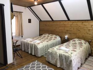 Pensiunea Păstrăvul de Aur