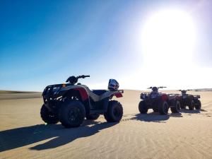 Mowe Bay, Skeleton Coast National Park, Namibia.