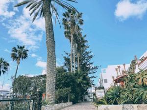 Loft on the beach Corralejo iRent Fuerteventura