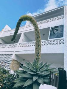Loft on the beach Corralejo iRent Fuerteventura