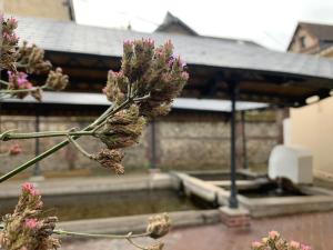 B&B / Chambres d'hotes L'Ecole des Demoiselles : photos des chambres