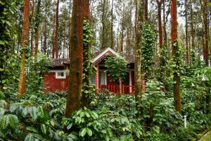 Coffee Grove Resort