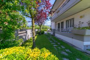 Nidino Suite by MMega