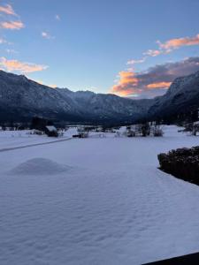 Magical Family Home 84 