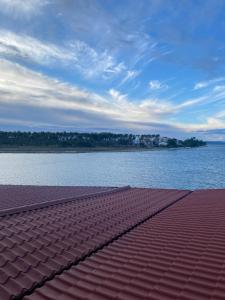 Apartment Privlaka direkt am Strand mit Klima und neuem Badezimmer Haustiere sind willkommen