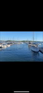 Budget Room Tjuvholmen