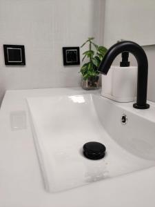 New Apartment Claret