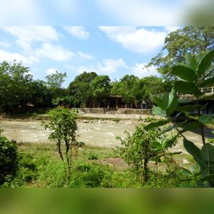 Camp Hornbill Corbett