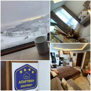 Studio MIPS S58 Milmari Resort Kopaonik