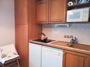 Appartement Studio aux 2 ALPES Montagne