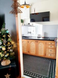 Apartament IZBA W CENTRUM