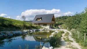 Chata pri jazere - 道尼库宾