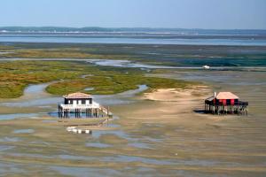 B&B / Chambres d'hotes La Cabane Boheme, Maison d'hotes Bassin d'Arcachon : photos des chambres