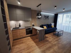 Apartament nad Odrą APARTMENT RIVER HOUSE