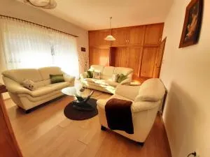 Apartment Gorska vila - 奥古林