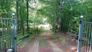 Parcela Traitraico, Coñaripe