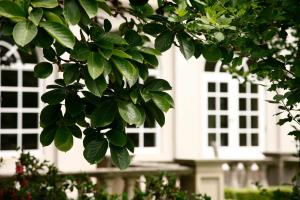 Ardour Milton Park Bowral