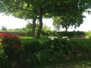 Maisons de vacances Gite de Rosvern : photos des chambres