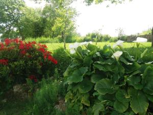 Maisons de vacances Gite de Rosvern : photos des chambres