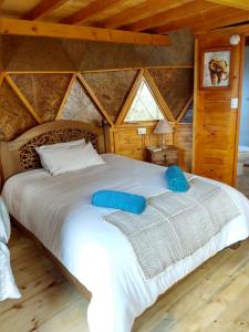 Libélula Glamping con jacuzzi