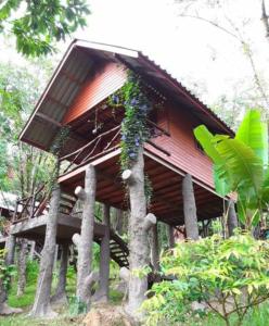 Treehouse Holidays-Garden View