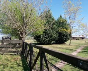 El Hornero - Cucullú