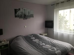 Appartements 2 Pieces - Quartier Calme - Parking gratuit : photos des chambres