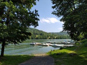 Chalets Bungalow Port Couzages-Lac du Causse- Correze : photos des chambres