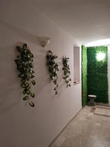 Angolo dei tramonti