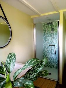 Maisons de vacances Gite dans une ambiance vegetale avec Spa privatif : photos des chambres