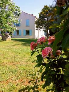 Maisons de vacances Gite dans une ambiance vegetale avec Spa privatif : photos des chambres