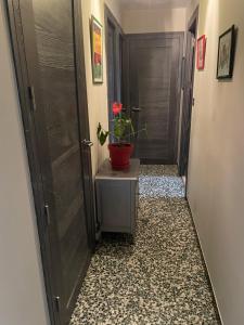 Appartements LE CHOUKI : photos des chambres
