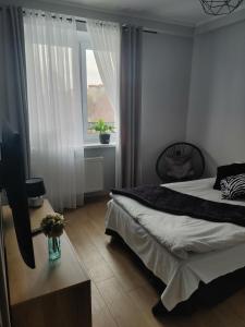 Apartamenty u Zofii
