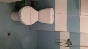 Rose Garden Omax Apartments