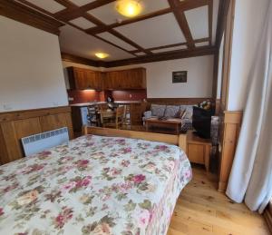 Pirin Golf Hotel Private Studios