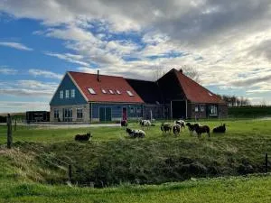 De Martha Hoeve - Zuidermeer