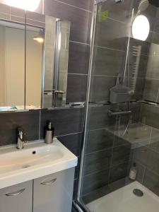 Appartements Le Petit Chaleureux - Centre ville - Wifi - stationnement (ideal couples, etudiants, business) : photos des chambres