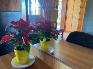 Da Fang Hua Yuan Xiao Homestay