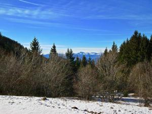 Appartements Studio Chamrousse, 1 piece, 4 personnes - FR-1-340-141 : photos des chambres