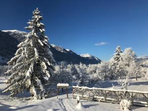 Appartements Rosenstockl