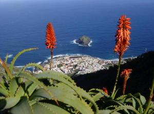 Apartamento Playa San Marcos