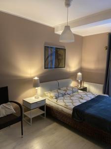 Apartament Grafitowy Willa Laser
