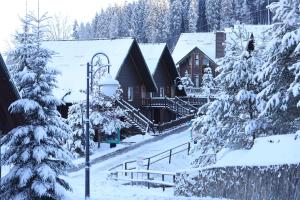 Bukovel Hotel